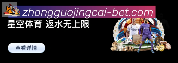 未来规划
